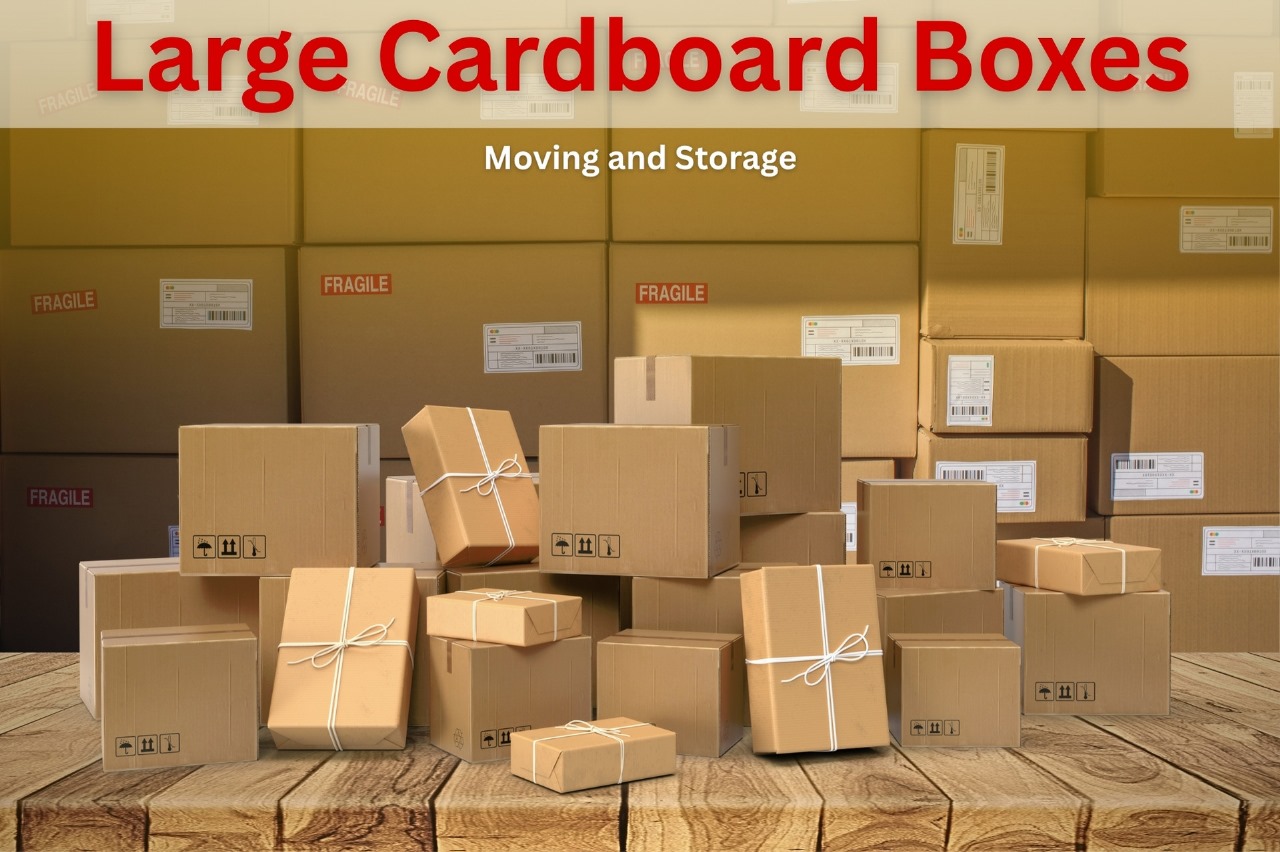 Cardboard